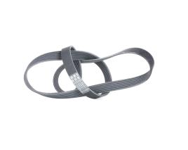 CONTITECH Correia Trapezoidal Estriada OPEL,FORD,FIAT 6PK1310 46820063,1539606,9S518620DA  46820063,0019930396,A0019930396,6340662,93185023