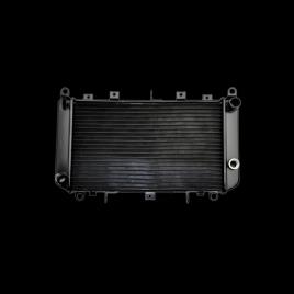 AKS DASIS Radiador MERCEDES-BENZ 121170N 2105003203,2105006603,A2105003203 Radiador, arrefecimento do motor A2105006603
