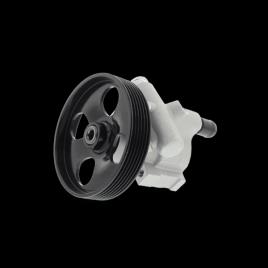 ESEN SKV Bomba de Direção FIAT,PEUGEOT,LANCIA 10SKV221 46442644,71788799,7796200