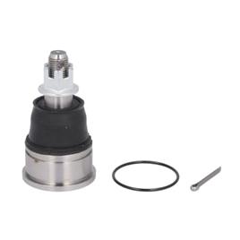 555 Rótula de Suspensão HONDA SB-6242 51210S5AJ20,51215S5AJ20,51220S5A003 Articulação de suspensão/guia 51220S5AJ10,51220S5AJ30