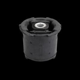 SASIC Bucha de Eixo PEUGEOT,CITROËN 1525625 515262,515264,515262 Suspensão, corpo do eixo