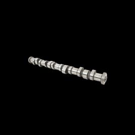 KOLBENSCHMIDT Árvore de Cames VW,AUDI,FORD 50006304 1100669,XM216251AA,038109101R
