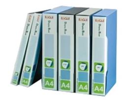 Pasta C/60 Bolsas 120 Paginas Catalogo Eagle Azul, Personal