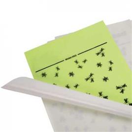 Recarga Adesiva Lamina de Insectos Para Exterminador 4X6UN
