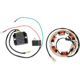 Ricks Motorsport Electric Honda 99-101 High Intensity Power Kit Preto