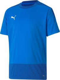 Camisola Puma teamGOAL 23 Training Jersey Jr