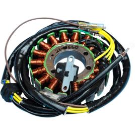 Ricks Motorsport Electric Oem Polaris 21-560 Stator Preto
