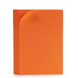 Papel Borracha Eva 10 (65 x 0,2 x 45 cm) (10 Peças)