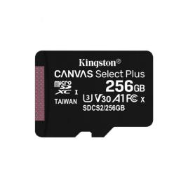 KINGSTON - 256GB IRONKEY VP 50 AES-256 ENCRP
