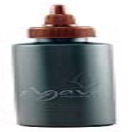 Condicionador Healing Oil 