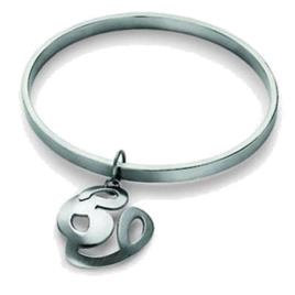 Bracelete feminino  TJ0521 (21 cm)