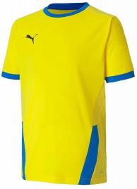 Camisola Puma teamGOAL 23 Jersey Jr