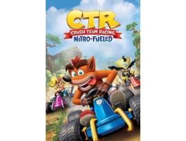 Póster DELE Crash Team Racing (61x91.5 cm)