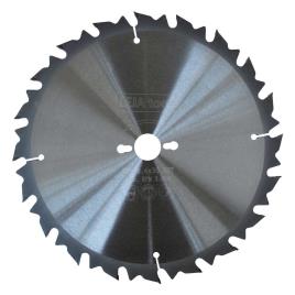 Leja Tools Lwznr-3003020lj 300x30 Mm Circular Saw Prateado