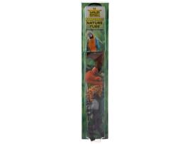 Tubo de Figuras  Nature Tube Floresta Tropical