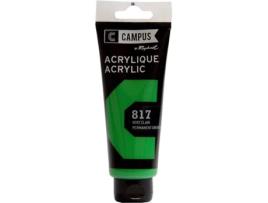 Tinta Acrílico RAPHAEL (Verde)