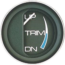 Faria Trim Gauge Mercury