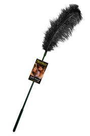 Espanador Avestruz Preto