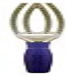 Escova Fingerbrush Olivia Garden