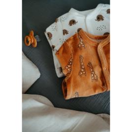 La Redoute Collections Lote de 2 pijamas, em veludo, prematuro-2 anos