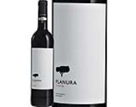 Vinho Tinto Planura Alentejo 0.75l