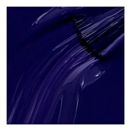 NAIL LACQUER #009-Award for Best Nails goes to…