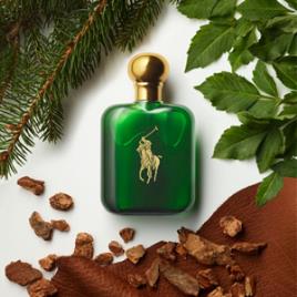 POLO eau de toilette vaporizador 59 mll