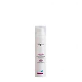 Bioseivas Essence Creme Definição e Reparação 100ml