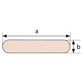Talamex Sail Batten  24 x 4 mm