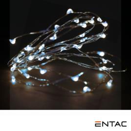 Grinalda de 80 Leds Branco Frio 4M 