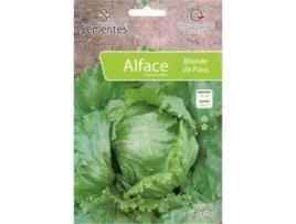 Semente CASA CESAR SANTOS Alface Batavia Blonde Paris