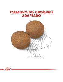Royal Canin Maxi Adult 15kg, Alimento Seco Cão Grande 15kg