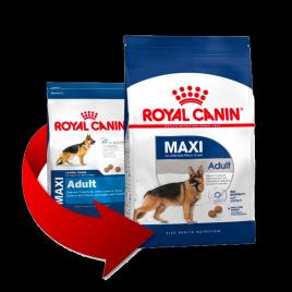 Royal Canin Maxi Adult 4 KG
