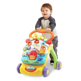 Andarilho Vtech Multicolor (9+ meses) (Es)