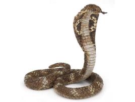 Figura  Cobra Real