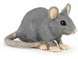Figura  Rato Doméstico