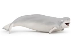 Figura  Beluga