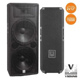 Coluna Profissional 2x12