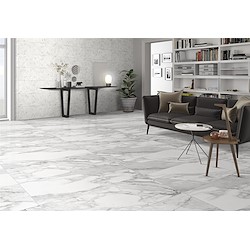 Pavimento cerâmico NOVAGAMMA MAGNA SILVER 60X120CM