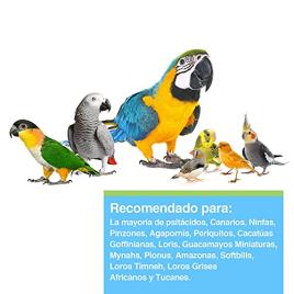 Suplemento para Aves PRIME Aminóacidos (30g)
