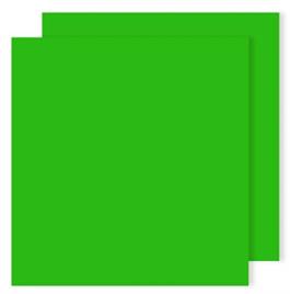Cartolina CANSON Verde (50 x 65 cm - 25 Unidades - 240 g/m²)