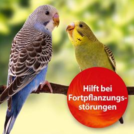 Suplemento para Canários QUIKO Vitamina E (350g) 