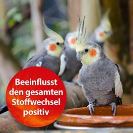 Suplemento para Canários QUIKO Vitamina E (350g) 