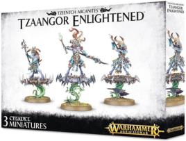 Figura de Ação  Tzaangor Enlightened