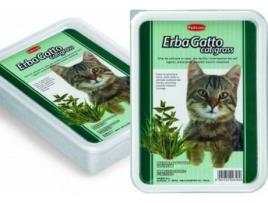 Ervas para Gatos  Gateira (998g)