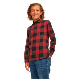 Jack & Jones Gingham Twill Long Sleeve Shirt Vermelho 176