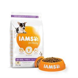 Ração para Cães IAMS Puppy e Junior Pro Active Médio (3 Kg)