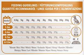 Ração para Cães IAMS Puppy e Junior Pro Active Médio (3 Kg)