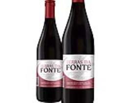 Vinho Tinto Terras Da Fonte 1l