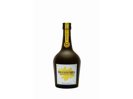 Licor Brandymel 0.70l